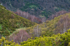 Picos de Europa Spain