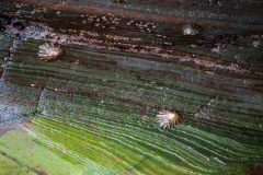Playa de Las Catedrales Spain