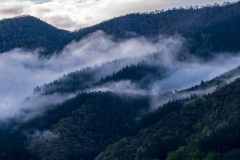 Picos de Europa Spain