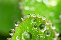 Scandinavië/Scandinavia/Scandinavien 2013/16/17/18