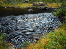 Bladeren op drift-Leafs on the run-Blatter auf dem Durchlauf-Zweden-Sweden-Schweden