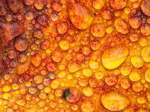 Dauw op herfstblad-Dew on autumn leaf-Tau auf Herbstblatt-Zweden-Sweden-Schweden