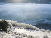 Dal bij Lom-Valley at Lom-Tall bei Lom-Noorwegen-Norway-Norwegen