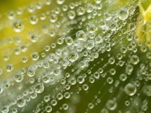 Door de druppels heen-Through the drops-Durch die Tropfen-Zweden-Sweden-Schweden