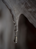 Druppel-drop-Tropfe-Noorwegen-Norway-Norwegen