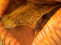 Goud gesponnen-Gold spun-Gold gesponnen-Zweden-Sweden-Schweden