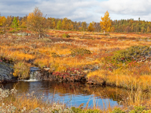 Mittådalen-Zweden-Sweden-Schweden