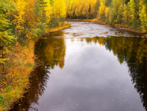 Oreälven-Zweden-Sweden-Schweden