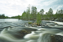 Högforsen-Zweden-Sweden-Schweden