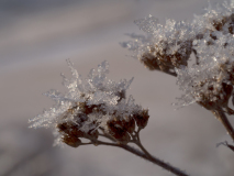 IJskristallen-Ice crystals-Eiskristalle-Noorwegen-Nieway-Norwegen