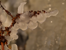 IJspegels-Icicles-Eiszapfen-Noorwegen-Nieway-Norwegen