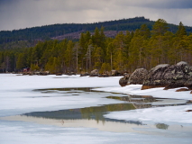 Fågelsjö-Zweden-Sweden-Schweden