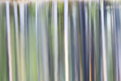 Reflection-Zweden-Sweden-Schweden