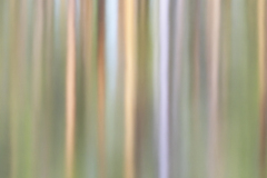 Reflection-Zweden-Sweden-Schweden