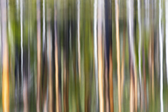 Reflection-Zweden-Sweden-Schweden