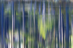 Reflection-Zweden-Sweden-Schweden