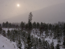 Sneeuwstorm-Snowstorm-Schneesturm-Noorwegen-Norway-Norwegen
