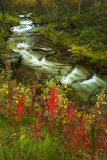 Storbacken-beek-Storbacken-stream-Storbaken-Fluss-Zweden-Sweden-Schweden