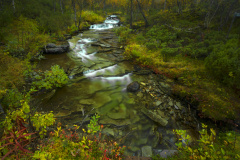Storbacken-beek-Storbacken-stream-Storbaken-Fluss-Zweden-Sweden-Schweden