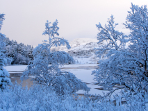 Vik-Noorwegen-Norway-Norwegen