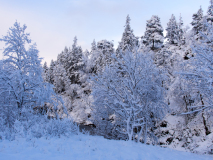 Vik-Noorwegen-Norway-Norwegen