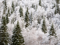 Vik-Noorwegen-Norway-Norwegen