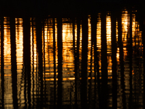 Vloeibaar goud-Liquid gold-Flüssiges Gold-Zweden-Sweden-Schweden