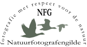 Schermafbeelding 2026-01-06 om 20.26.29